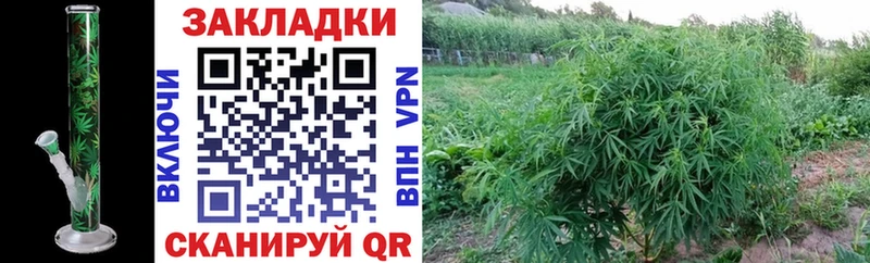 Где купить Завитинск Каннабис КОКАИН Гашиш СК Героин МЕФ