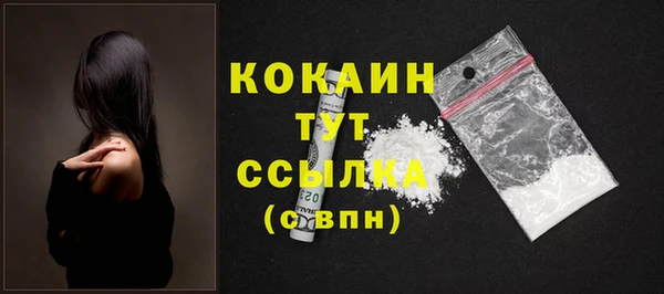 apvp Магас