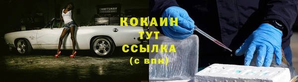 PSILOCYBIN Магадан