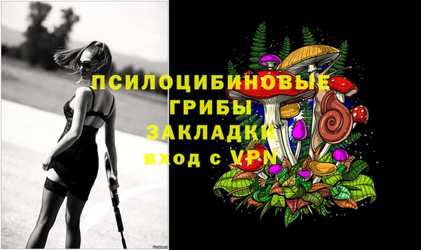 apvp Магас