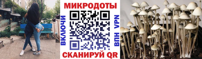 Псилоцибиновые грибы ЛСД  цены   Завитинск 