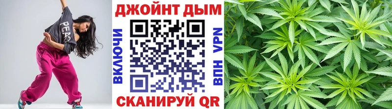 Бошки марихуана план  наркотики  Завитинск 